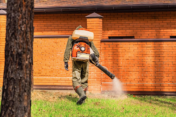 Trusted Mosquito Control service in Wyoming, PA - Nex Pest Control
